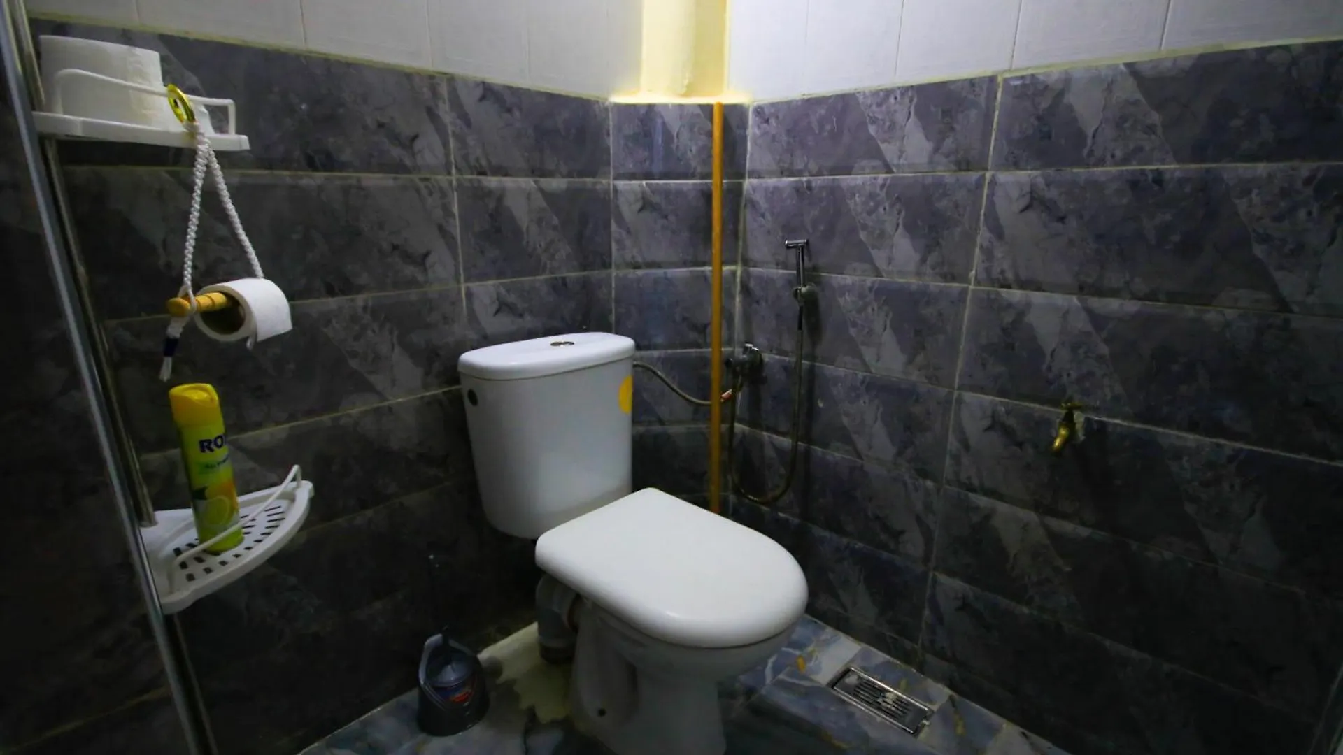 Jurassic Surf House Anza Hostel Agadir