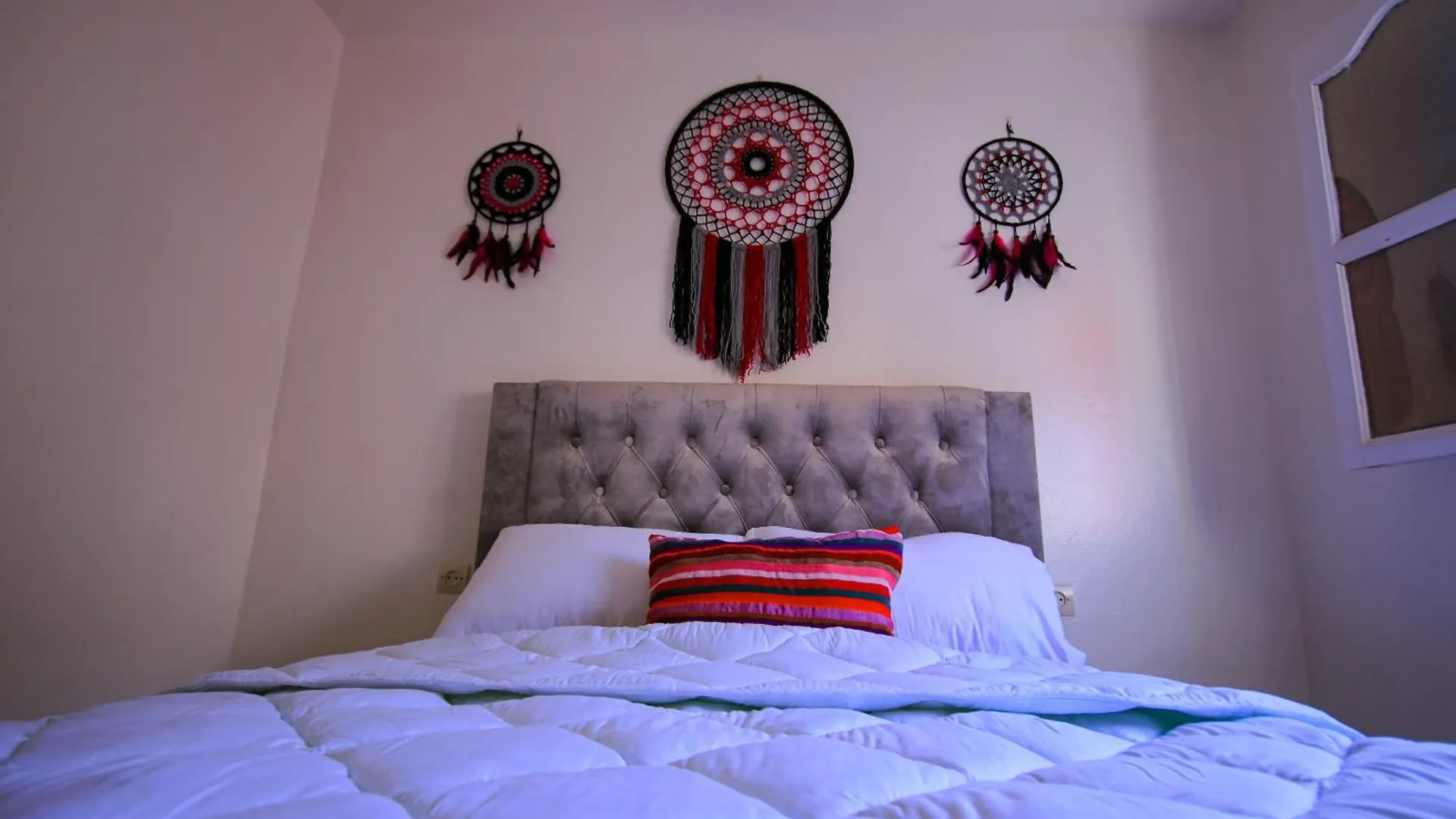 Jurassic Surf House Anza Hostel Agadir